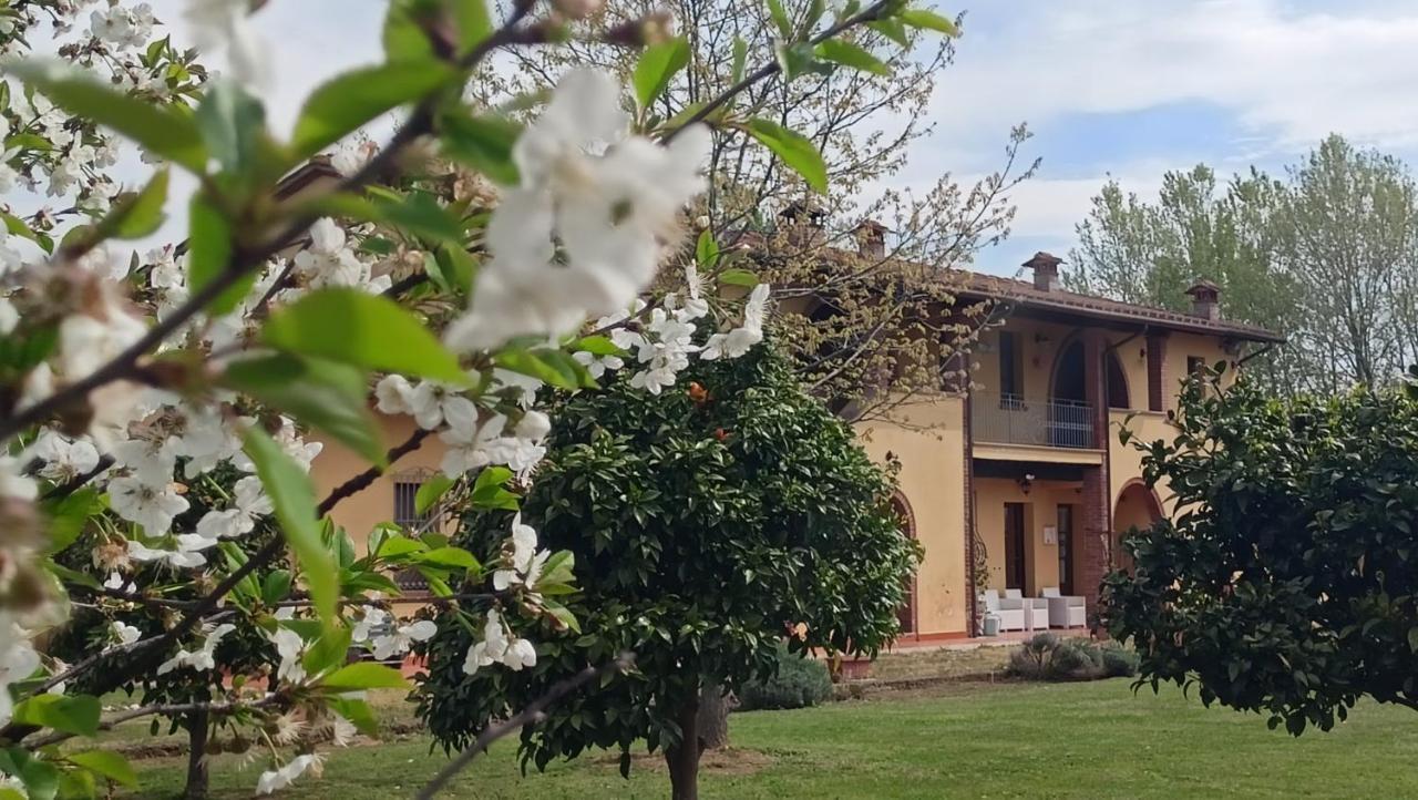 Il Chiassetto Agriturismo No Kids Villa Cascina Exteriör bild