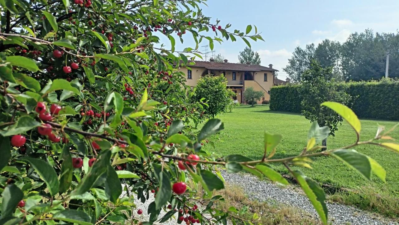 Il Chiassetto Agriturismo No Kids Villa Cascina Exteriör bild