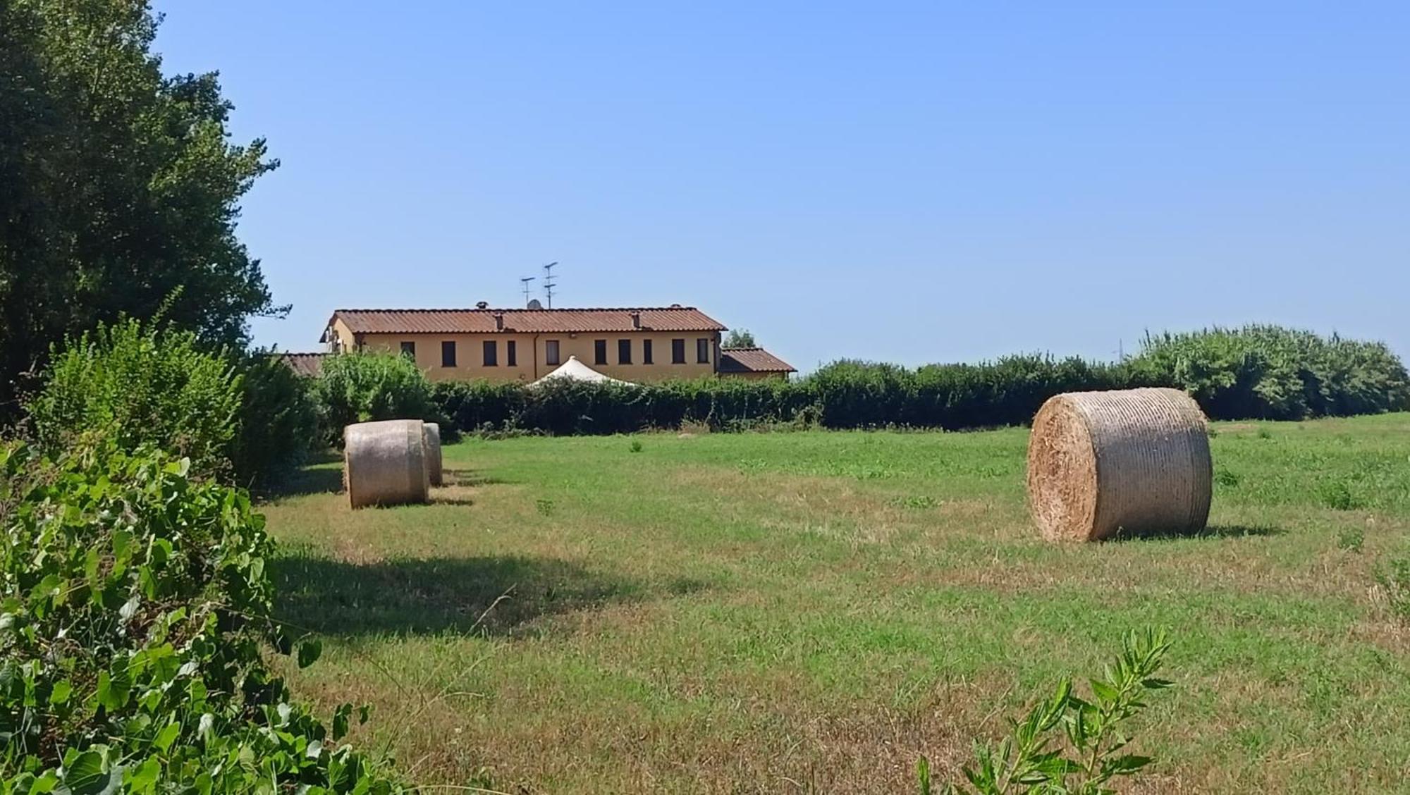 Il Chiassetto Agriturismo No Kids Villa Cascina Exteriör bild