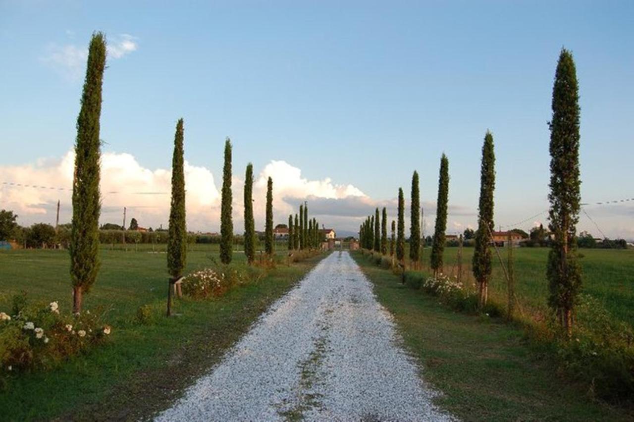 Il Chiassetto Agriturismo No Kids Villa Cascina Exteriör bild